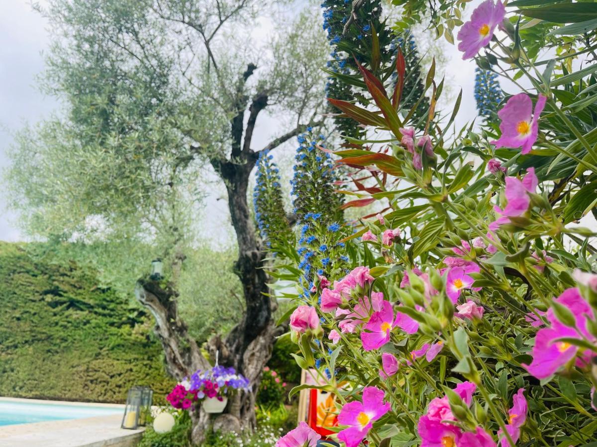 Bed and Breakfast Abeille à Vence Extérieur photo