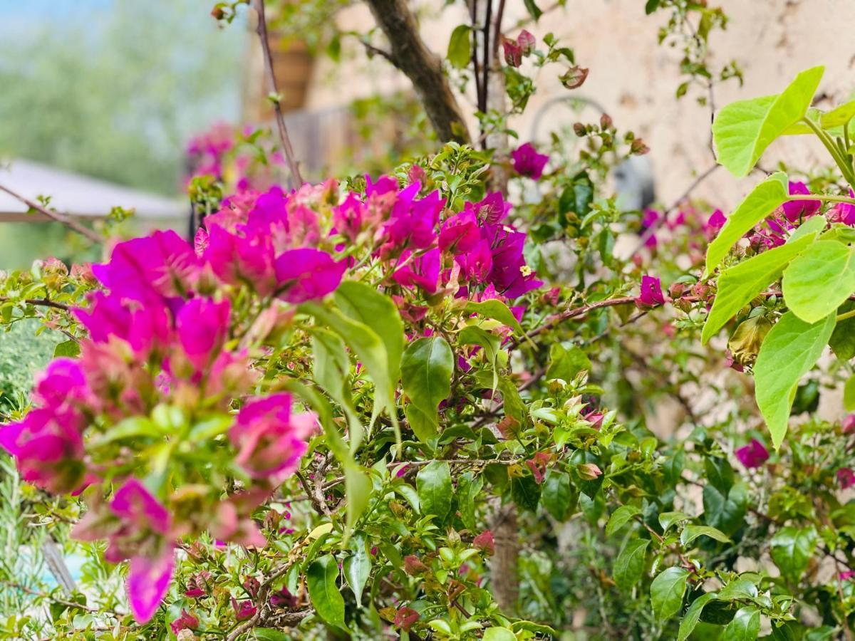 Bed and Breakfast Abeille à Vence Extérieur photo
